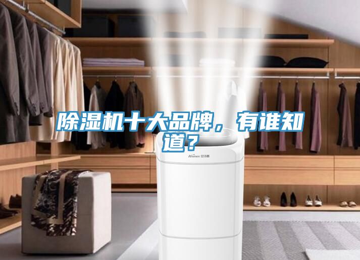 除濕機(jī)十大品牌，有誰(shuí)知道？