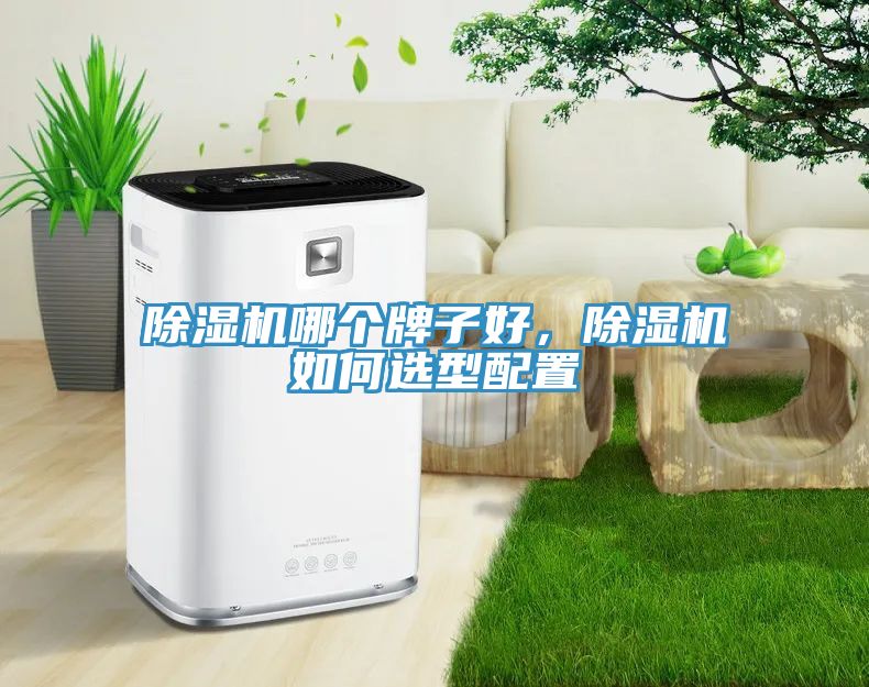 除濕機(jī)哪個(gè)牌子好，除濕機(jī)如何選型配置