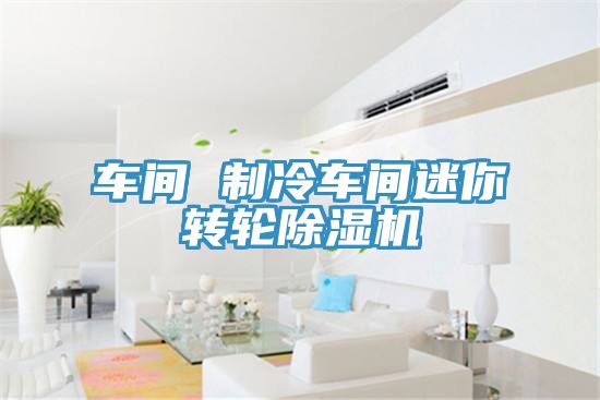 車間 制冷車間迷你轉(zhuǎn)輪除濕機