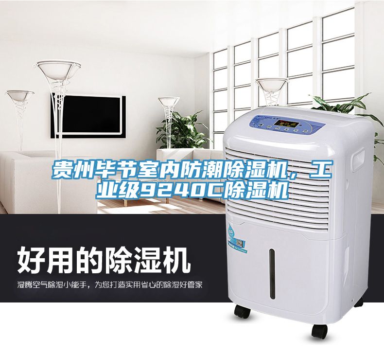 貴州畢節(jié)室內(nèi)防潮除濕機，工業(yè)級9240C除濕機
