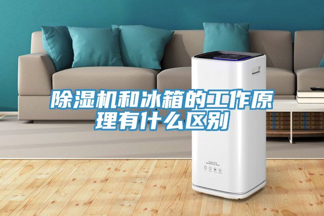 除濕機和冰箱的工作原理有什么區(qū)別