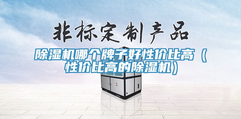 除濕機哪個牌子好性價比高（性價比高的除濕機）