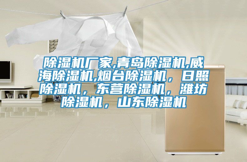 除濕機(jī)廠家,青島除濕機(jī),威海除濕機(jī),煙臺(tái)除濕機(jī)，日照除濕機(jī)，東營(yíng)除濕機(jī)，濰坊除濕機(jī)，山東除濕機(jī)
