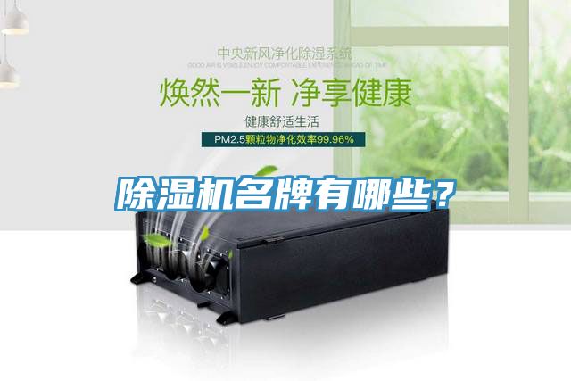 除濕機名牌有哪些？