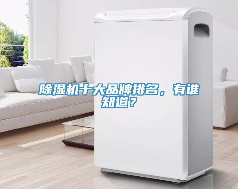 除濕機(jī)十大品牌排名，有誰(shuí)知道？