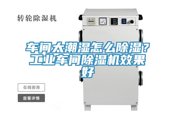 車間太潮濕怎么除濕？工業(yè)車間除濕機效果好