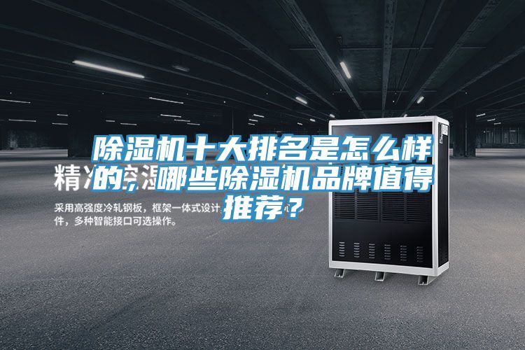 除濕機(jī)十大排名是怎么樣的，哪些除濕機(jī)品牌值得推薦？
