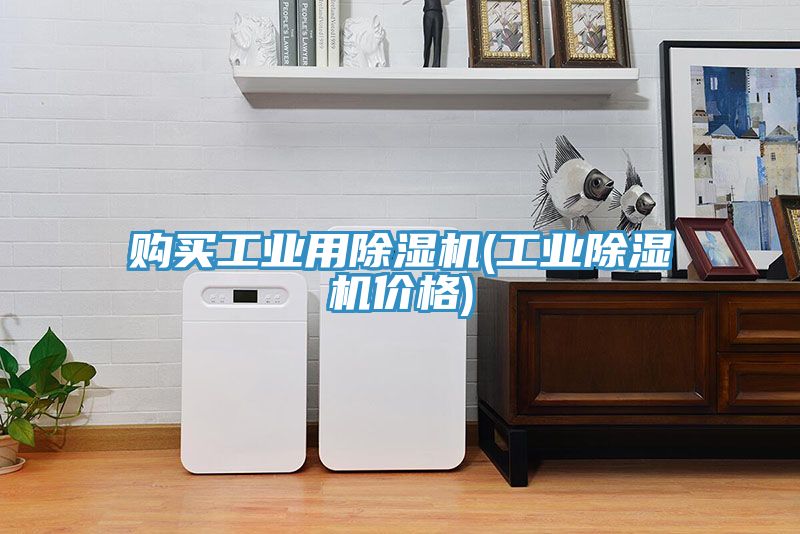 購(gòu)買(mǎi)工業(yè)用除濕機(jī)(工業(yè)除濕機(jī)價(jià)格)