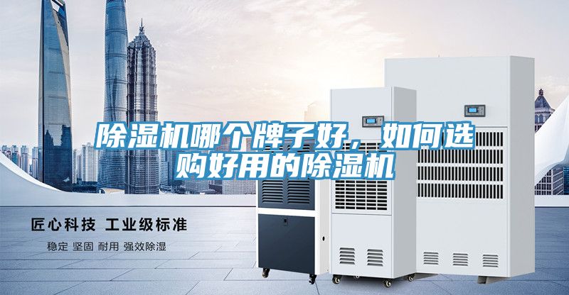 除濕機(jī)哪個(gè)牌子好，如何選購好用的除濕機(jī)