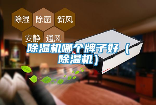 除濕機(jī)哪個(gè)牌子好（除濕機(jī)）