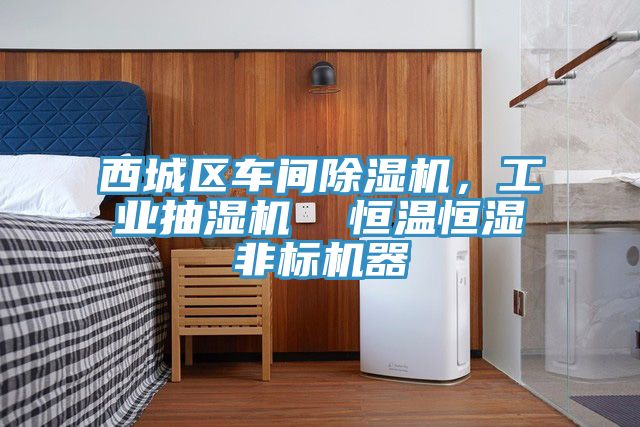 西城區(qū)車間除濕機，工業(yè)抽濕機  恒溫恒濕非標(biāo)機器