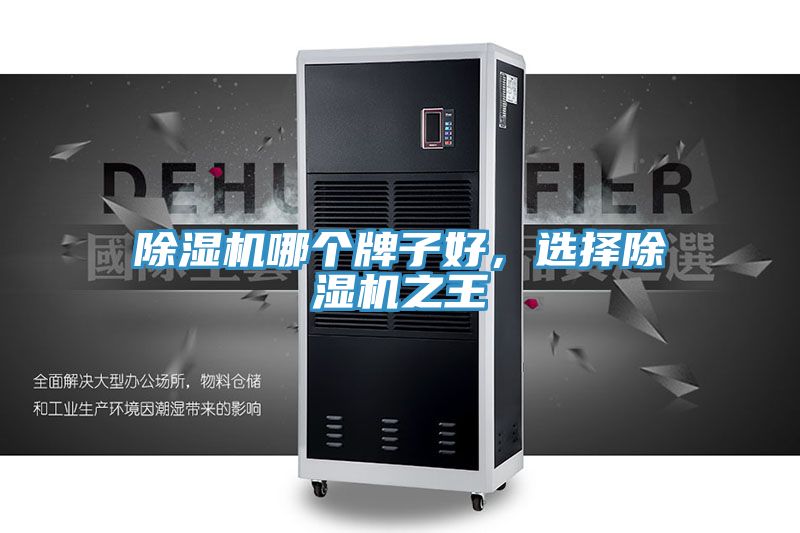 除濕機(jī)哪個(gè)牌子好，選擇除濕機(jī)之王