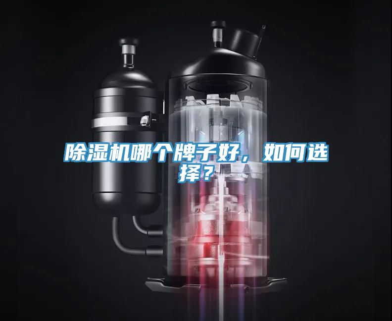 除濕機(jī)哪個(gè)牌子好，如何選擇？