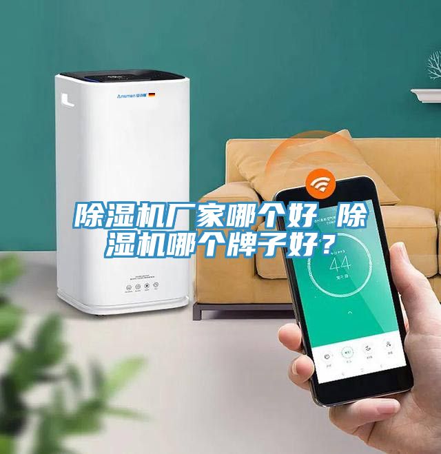 除濕機(jī)廠家哪個(gè)好 除濕機(jī)哪個(gè)牌子好？