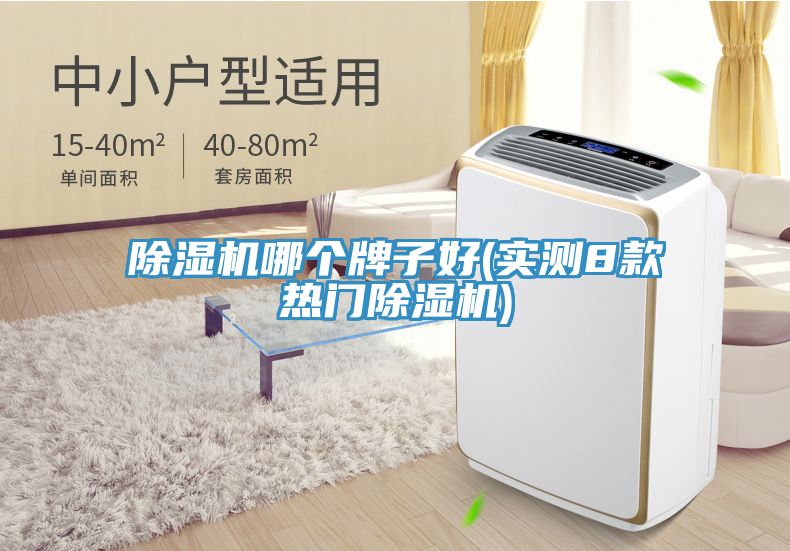 除濕機哪個牌子好(實測8款熱門除濕機)