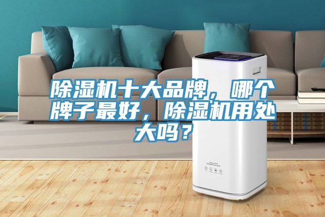 除濕機(jī)十大品牌，哪個(gè)牌子最好，除濕機(jī)用處大嗎？
