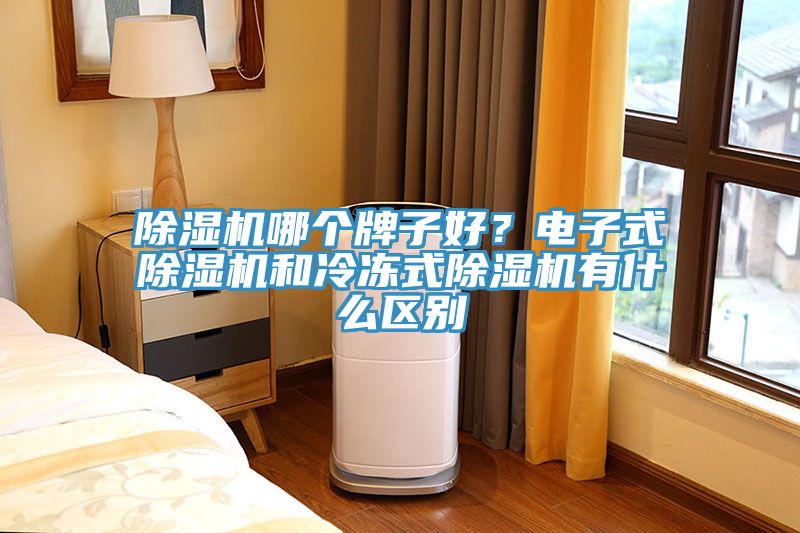 除濕機哪個牌子好？電子式除濕機和冷凍式除濕機有什么區(qū)別
