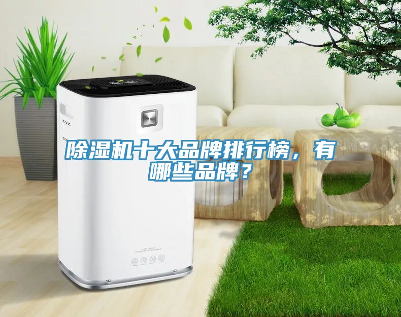 除濕機(jī)十大品牌排行榜，有哪些品牌？