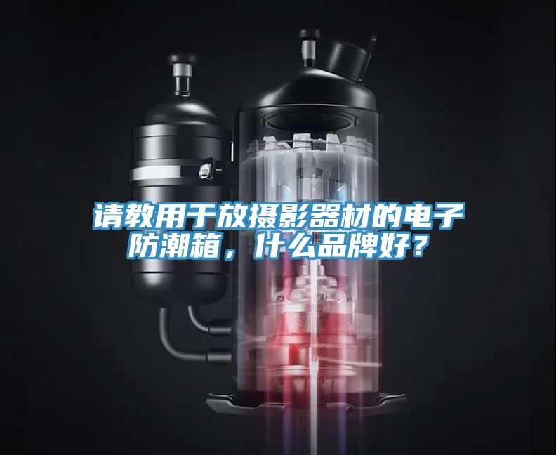 請教用于放攝影器材的電子防潮箱，什么品牌好？