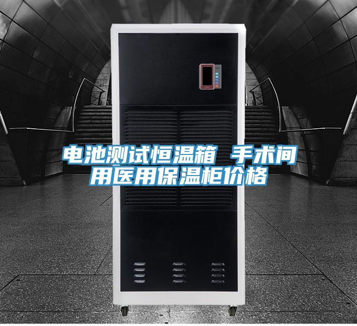 電池測(cè)試恒溫箱 手術(shù)間用醫(yī)用保溫柜價(jià)格