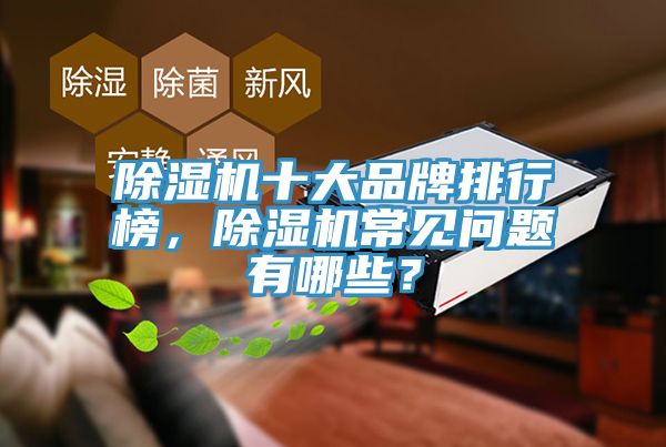 除濕機(jī)十大品牌排行榜，除濕機(jī)常見(jiàn)問(wèn)題有哪些？