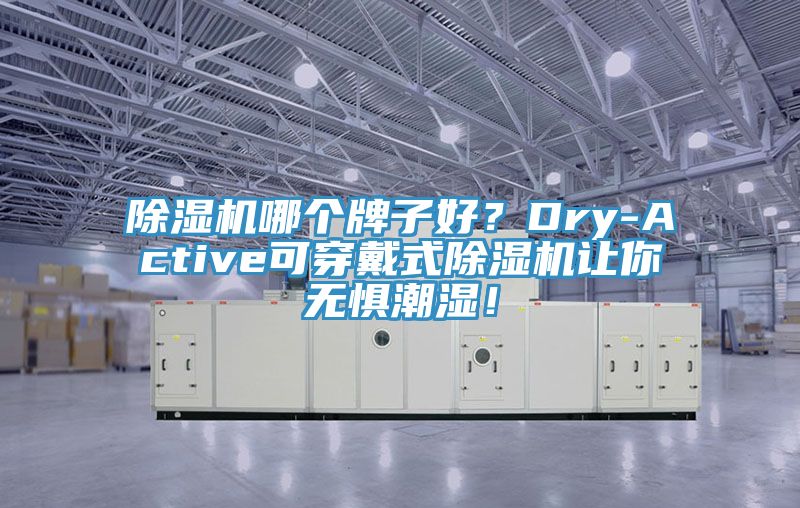 除濕機哪個牌子好？Dry-Active可穿戴式除濕機讓你無懼潮濕！