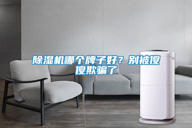 除濕機哪個牌子好？別被傻傻欺騙了