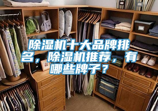 除濕機(jī)十大品牌排名，除濕機(jī)推薦，有哪些牌子？