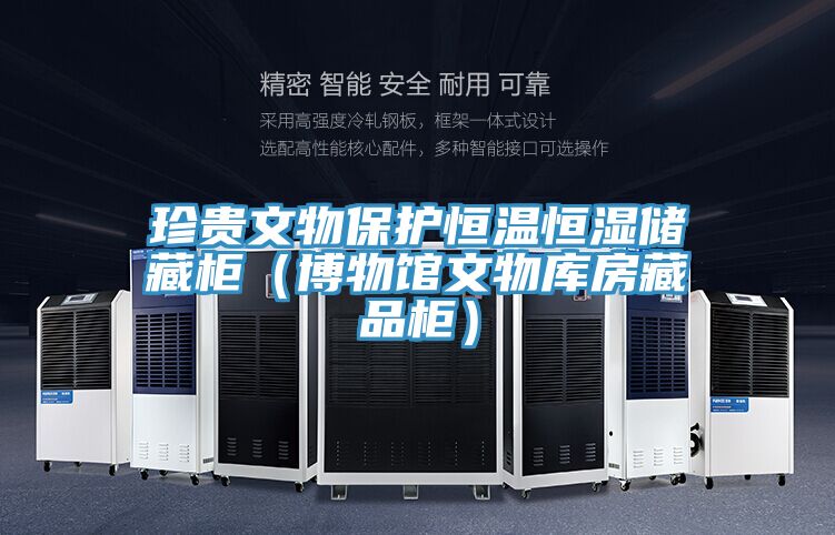 珍貴文物保護(hù)恒溫恒濕儲(chǔ)藏柜（博物館文物庫(kù)房藏品柜）