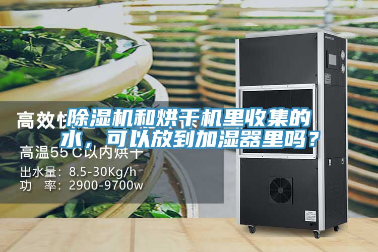 除濕機(jī)和烘干機(jī)里收集的水，可以放到加濕器里嗎？