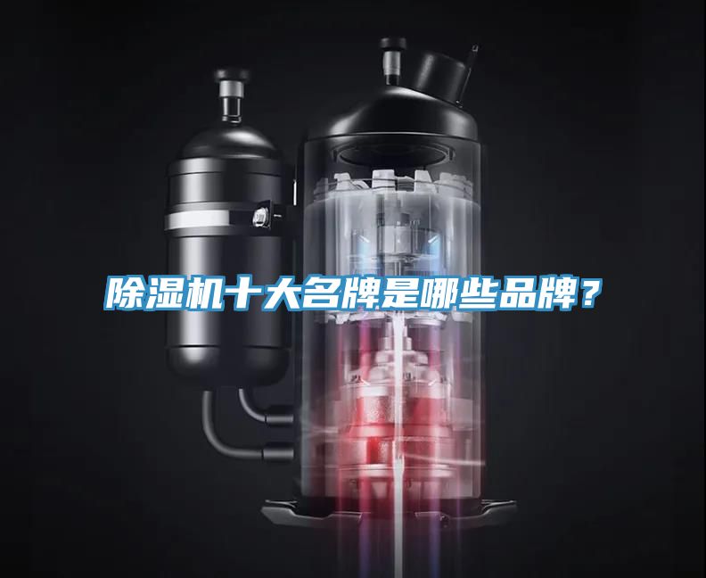 除濕機(jī)十大名牌是哪些品牌？