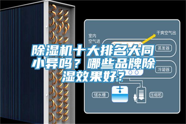 除濕機(jī)十大排名大同小異嗎？哪些品牌除濕效果好？