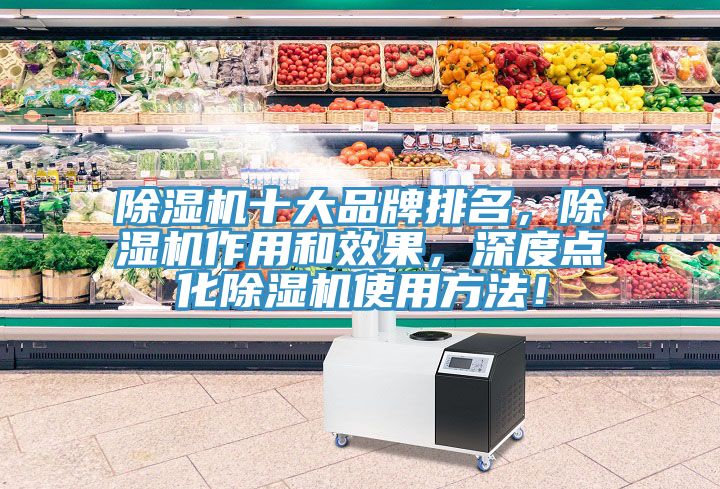 除濕機(jī)十大品牌排名，除濕機(jī)作用和效果，深度點(diǎn)化除濕機(jī)使用方法！
