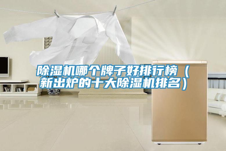 除濕機哪個牌子好排行榜（新出爐的十大除濕機排名）