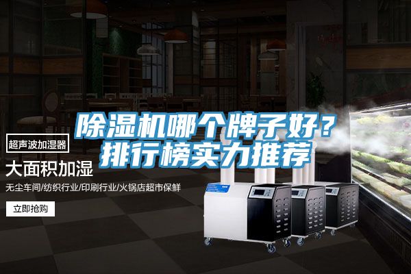 除濕機哪個牌子好？排行榜實力推薦