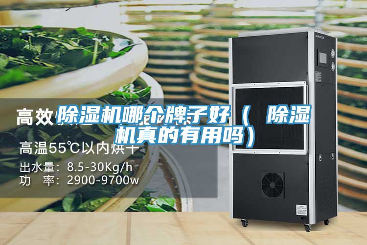 除濕機(jī)哪個(gè)牌子好（ 除濕機(jī)真的有用嗎）