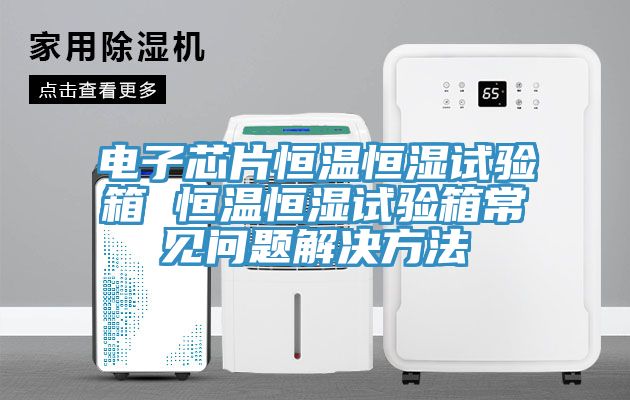 電子芯片恒溫恒濕試驗箱 恒溫恒濕試驗箱常見問題解決方法