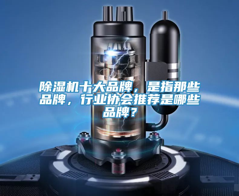 除濕機(jī)十大品牌，是指那些品牌，行業(yè)協(xié)會(huì)推薦是哪些品牌？