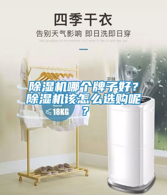 除濕機哪個牌子好？除濕機該怎么選購呢？