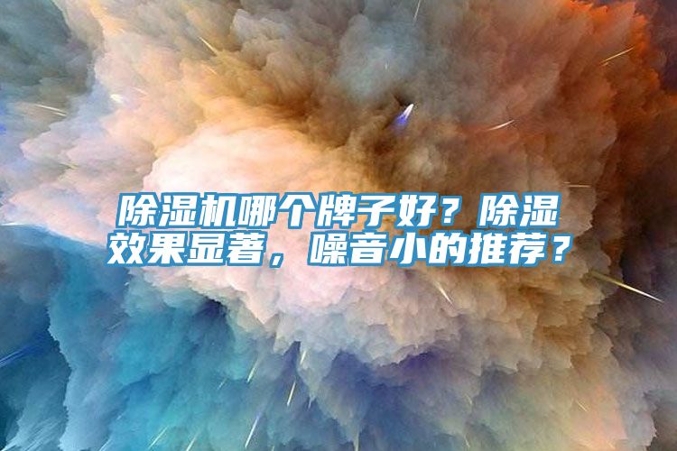 除濕機哪個牌子好？除濕效果顯著，噪音小的推薦？