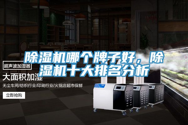 除濕機(jī)哪個(gè)牌子好，除濕機(jī)十大排名分析