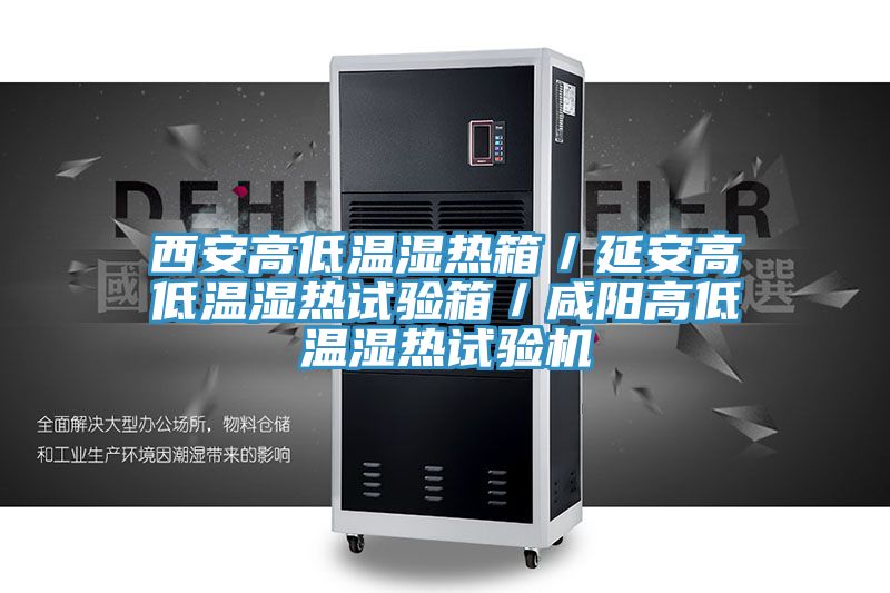 西安高低溫濕熱箱／延安高低溫濕熱試驗(yàn)箱／咸陽(yáng)高低溫濕熱試驗(yàn)機(jī)
