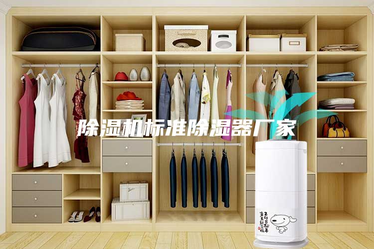 除濕機(jī)標(biāo)準(zhǔn)除濕器廠家