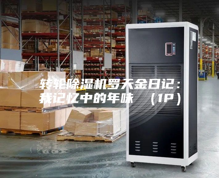 轉(zhuǎn)輪除濕機羅天金日記：我記憶中的年味 （1P）