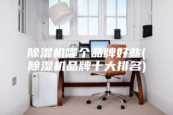 除濕機哪個品牌好些(除濕機品牌十大排名)