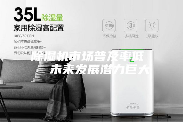 除濕機市場普及率低   未來發(fā)展?jié)摿薮?></div>
								<div   id=