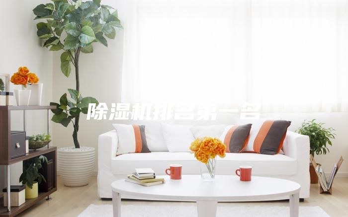 除濕機(jī)排名第一名