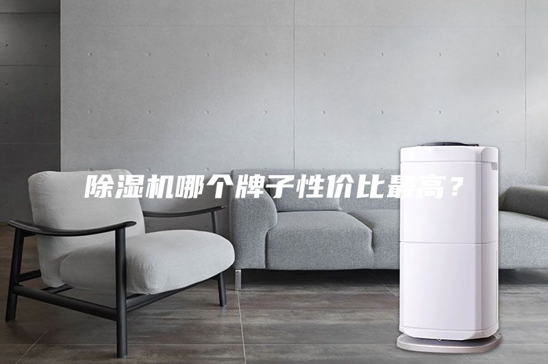 除濕機哪個牌子性價比最高？