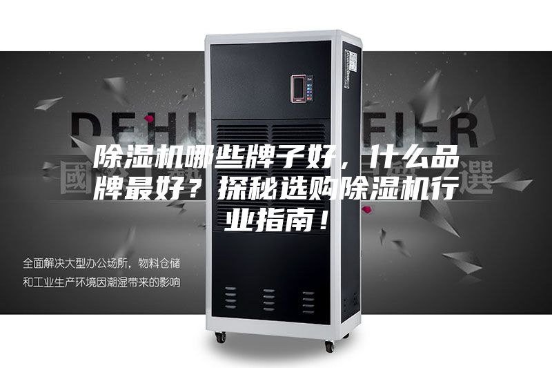 除濕機(jī)哪些牌子好，什么品牌最好？探秘選購(gòu)除濕機(jī)行業(yè)指南！