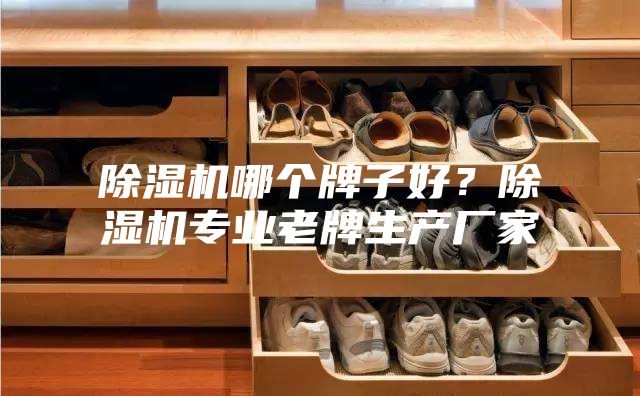 除濕機(jī)哪個(gè)牌子好？除濕機(jī)專業(yè)老牌生產(chǎn)廠家